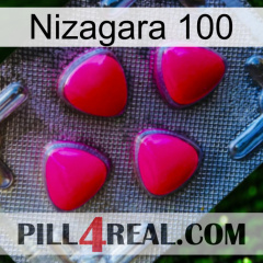 Nizagara 100 13